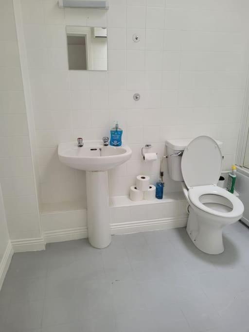 Stylish 4 Bedroom Dublin House 外观 照片
